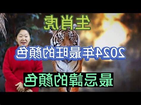 虎 幸運色